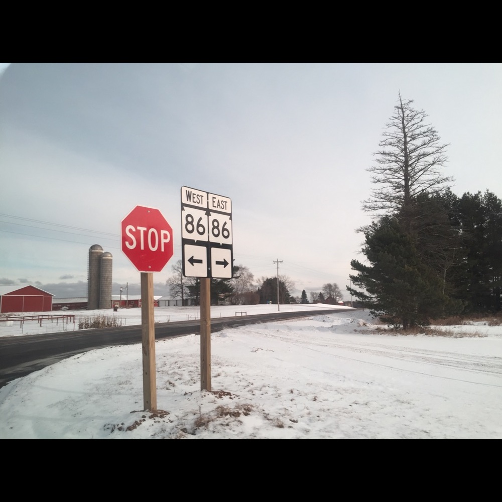 Meet your Posher, Daisy